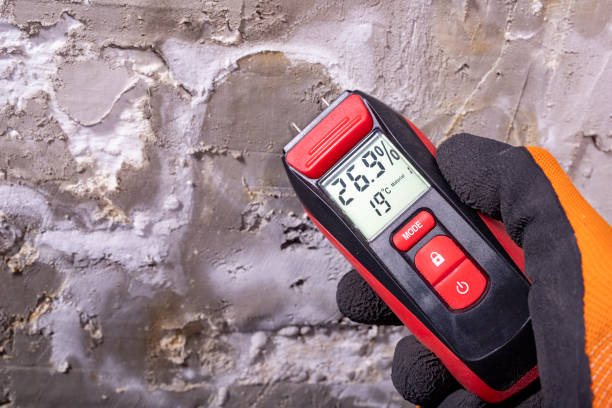 Best Affordable Mold Removal  in Jamestown, TN